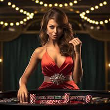 Bonus round activation The Dog House bonus round feature on velbet slot
